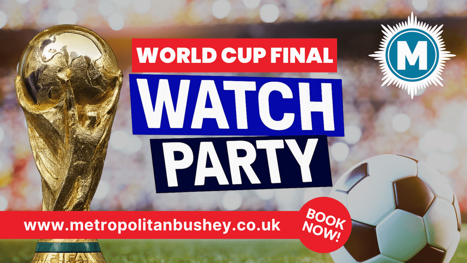 World Cup Final Watch Party