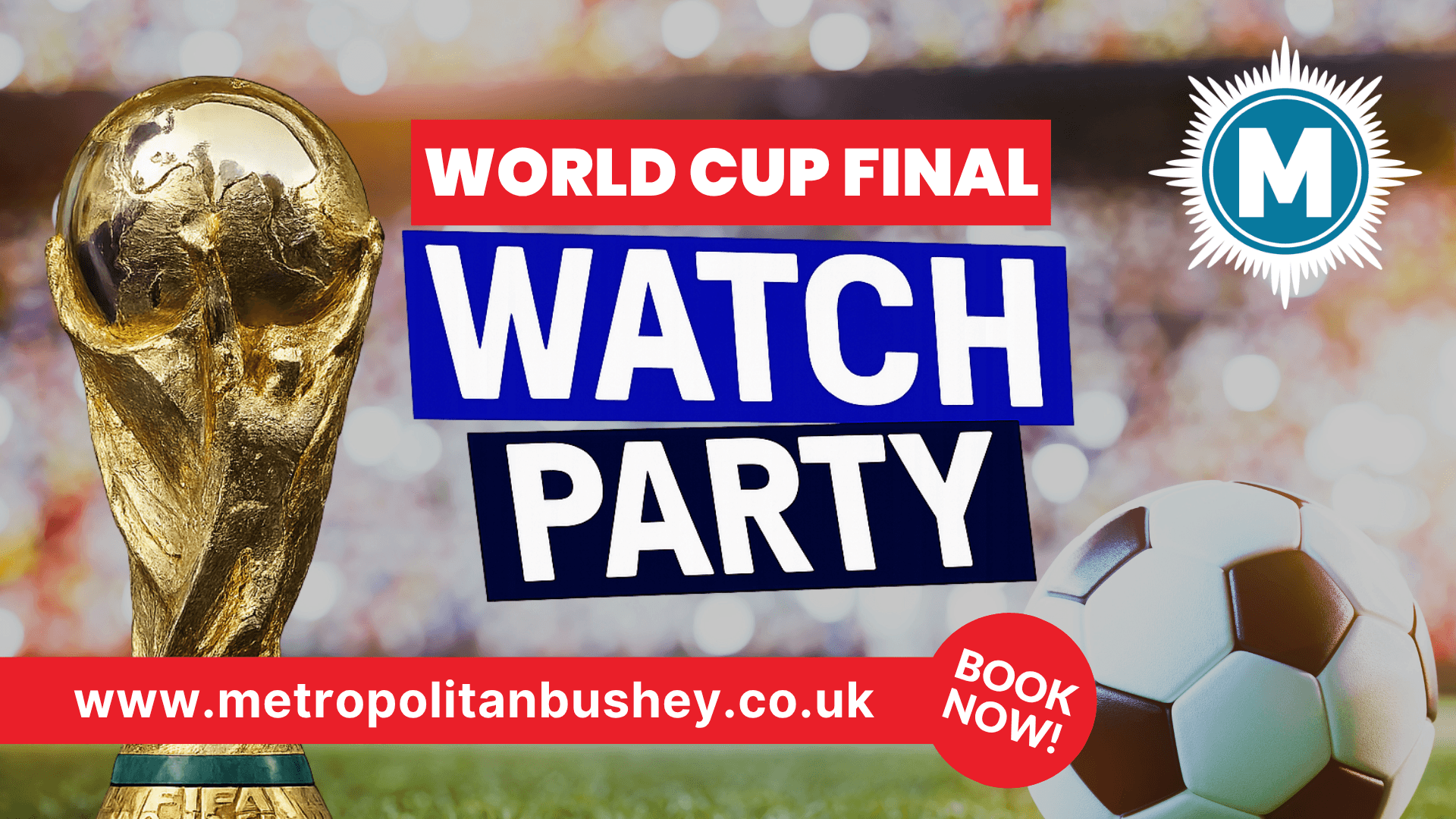 World Cup Final Watch Party