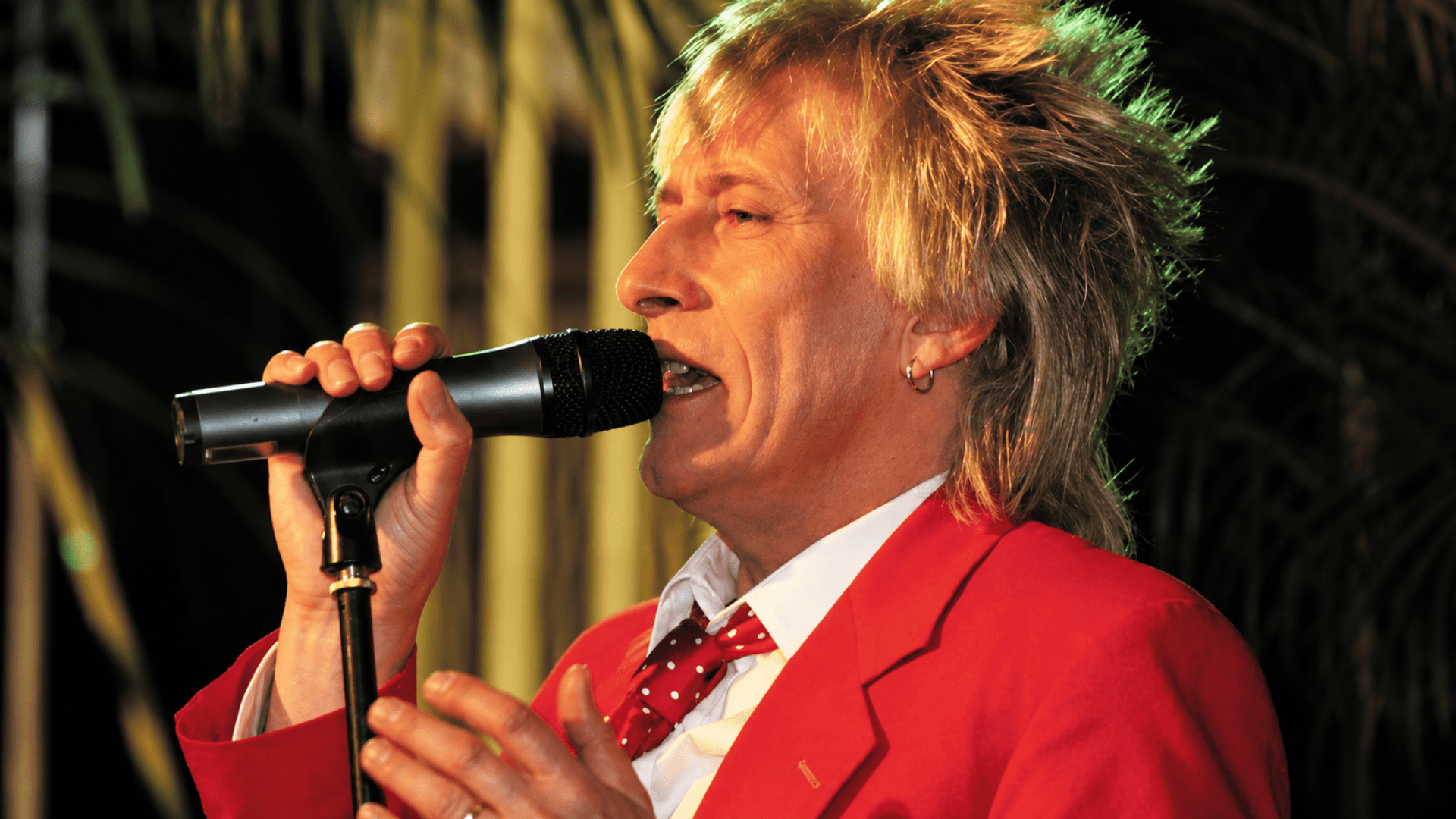 Rod Steward & Faces